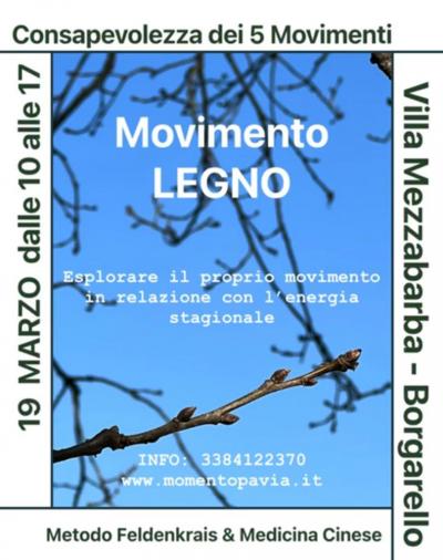 Consapevolezza-DEI-5-Movimenti-Elemento-LEGNO